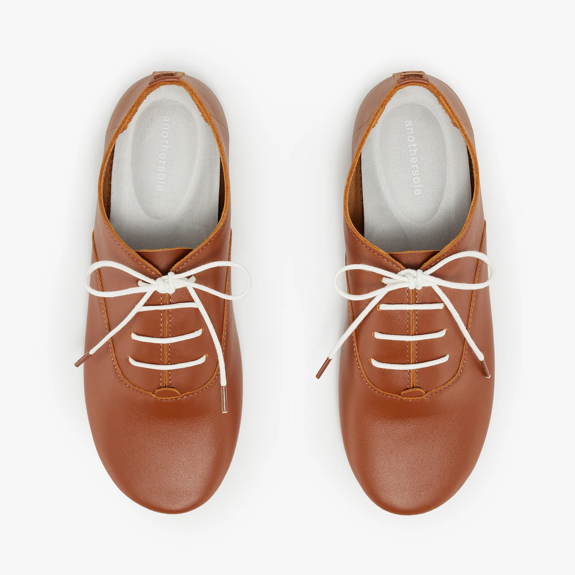 Charlie - Toffee - Image 4