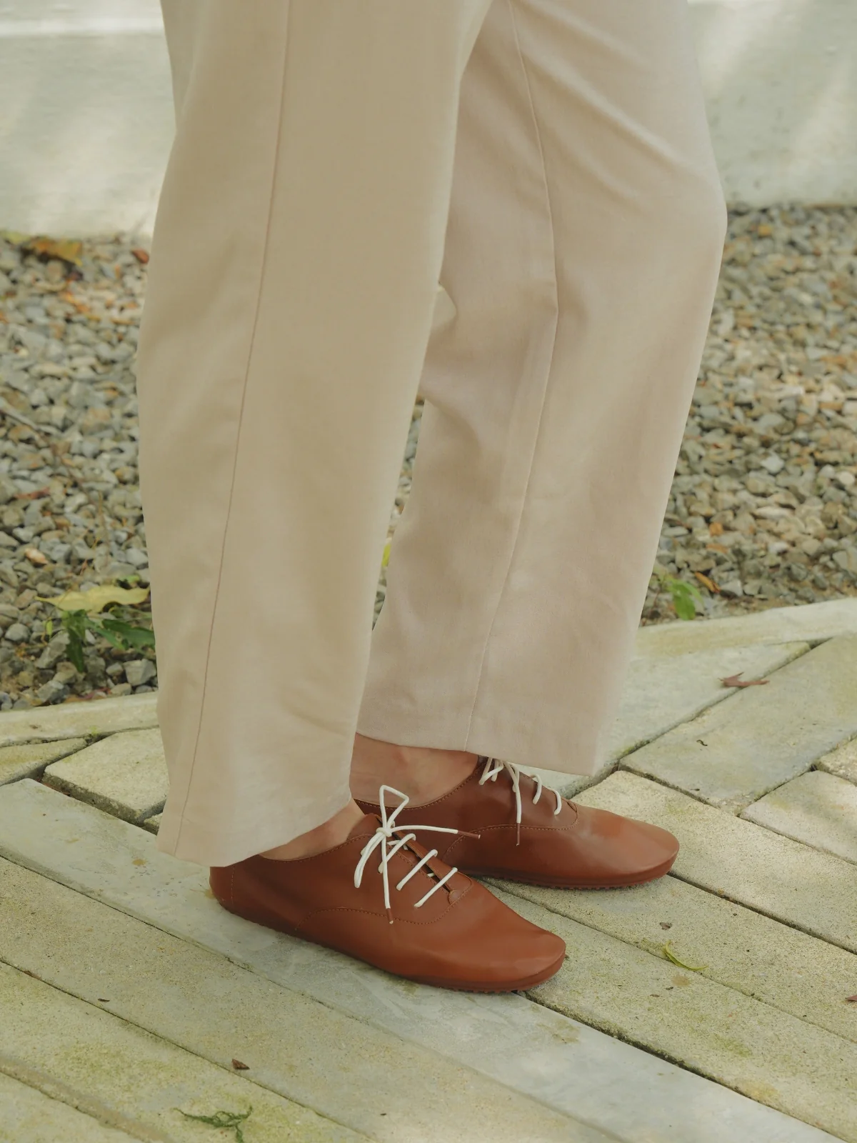Charlie - Toffee - Image 7
